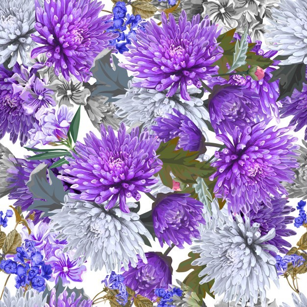 Peygamber Çiçeği - Centaurea cyanus - Cornflower