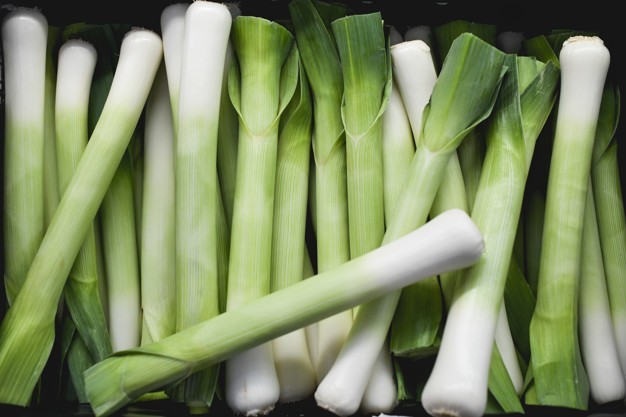 Pırasa Allium porrum - Leek