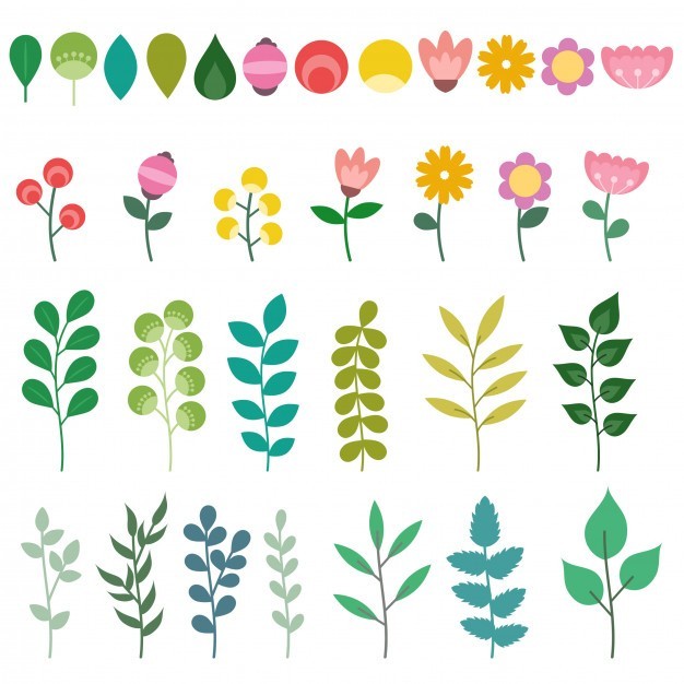 Şahtere Çiçeği - Şahtere Blossom