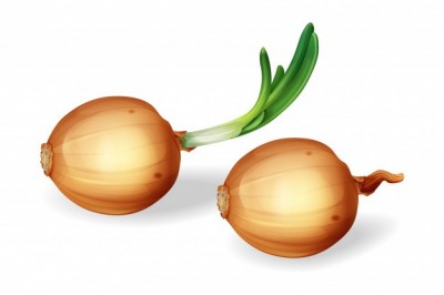  Soğan Sebzesi - Zwiebeln