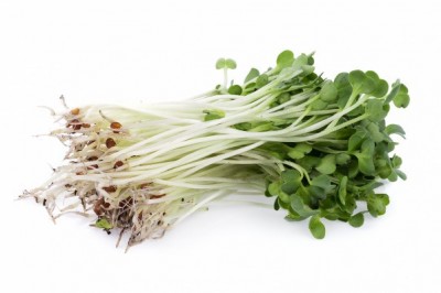 Su Teresi - Watercress