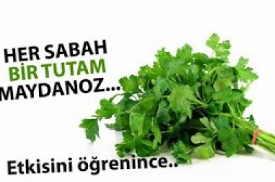 Güne Maydanoz Yiyerek Başlamanız için Bilmeniz Gerekenler