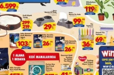 Şok Market 11 Aralık 2024 Aktüel İndirimli Ürünler Kataloğu