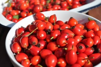 KAYNATIP 1 FİNCAN İÇİN LİMONDAN TAM 60 KAT DAHA FAZLA C VİTAMİNİ İÇERİYOR